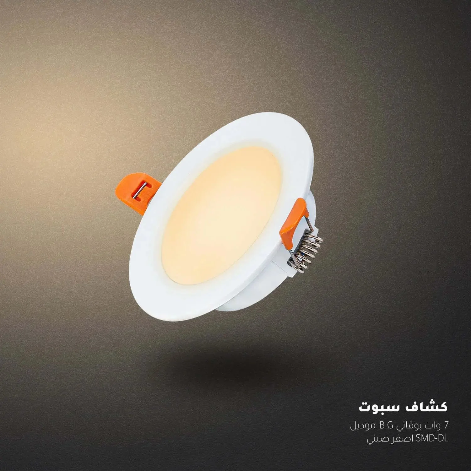 صورة مصغرة 2